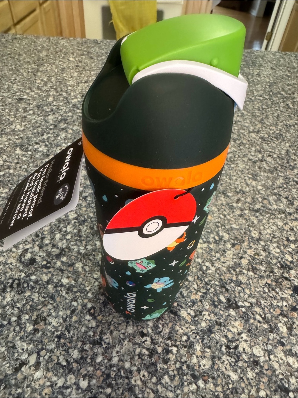 Owla Pokémon Insulated Water Bottle - Black with Green & Orange Accents